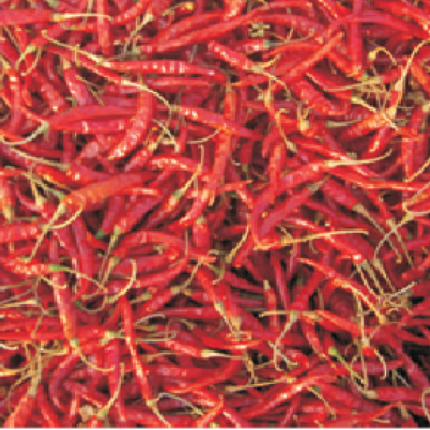 Ojaswi (HPH-017)