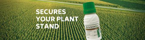 Fortenza Duo | Syngenta