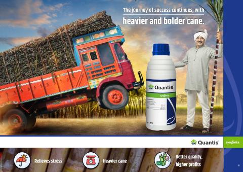 Quantis | Syngenta