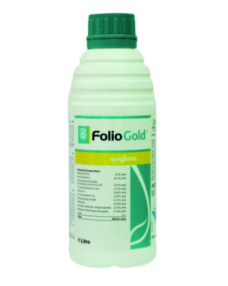 Folio Gold bottle