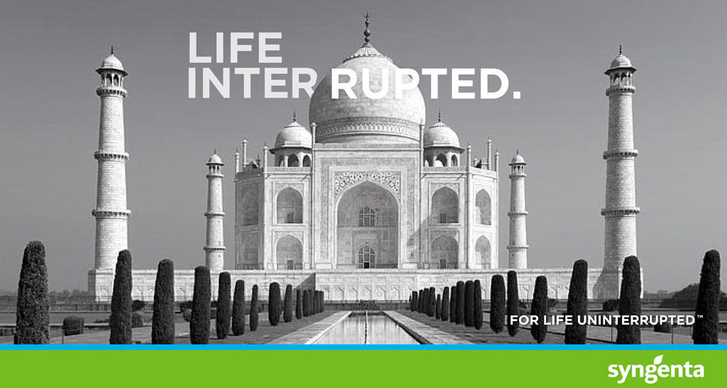 Life interrupted Taj Mahal