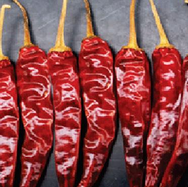 Hot Pepper Varieties | Syngenta