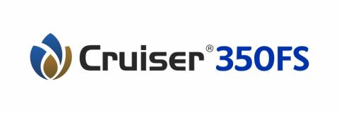 CRUISER 350 FS