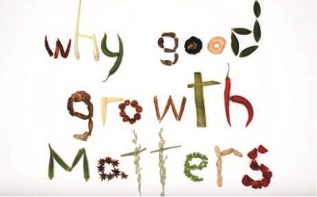Why good growth matters resize