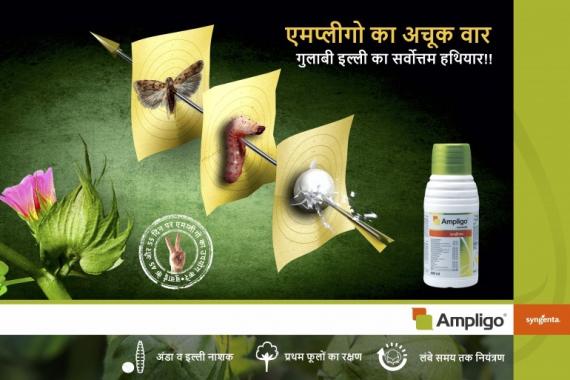 Ampligo | Syngenta