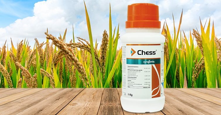 Chess insecticide
