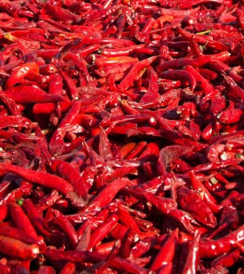 Hot Pepper Hero