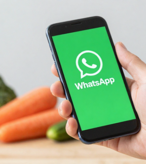 Hand holding smartphone with WhatsApp logo above fresh vegetables on a table