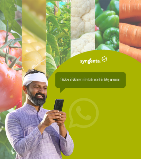 allvegmobile.png