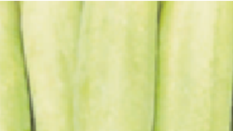 crispy thumb