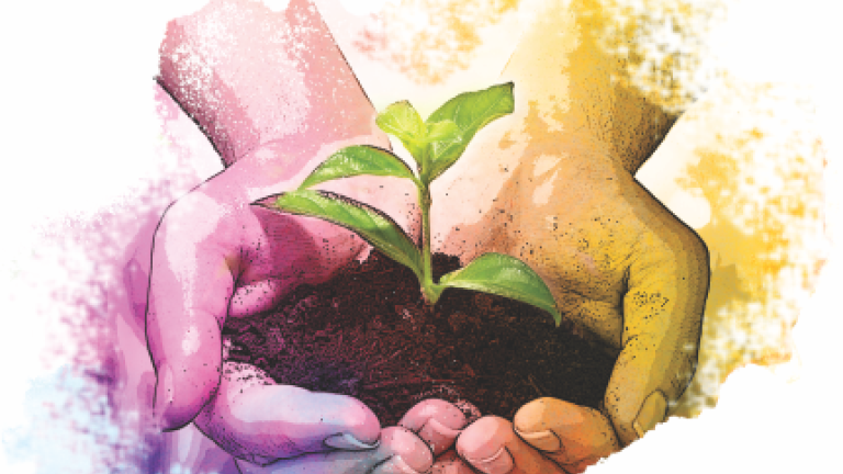 sustainability