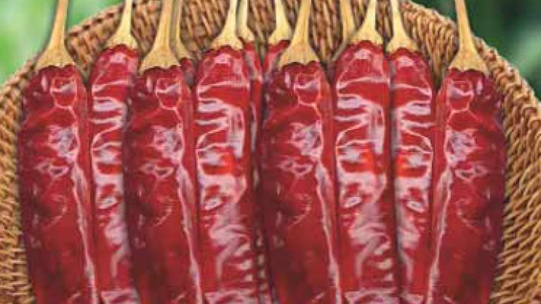Redpatti