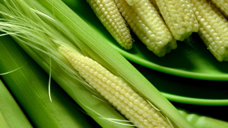 Babycorn