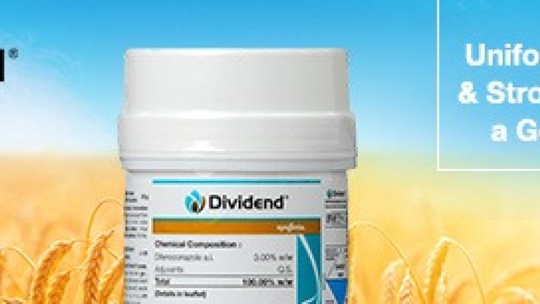 Dividend