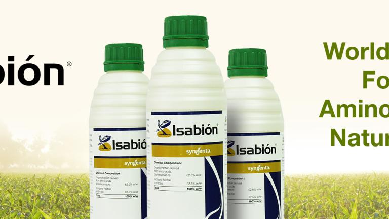 Isabion