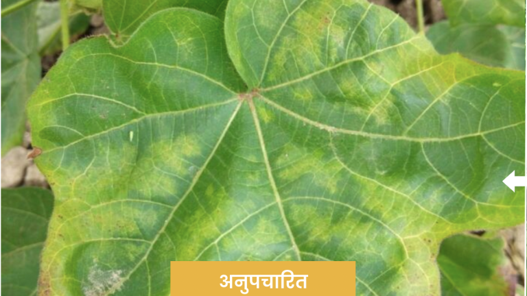 सिमोडिस - सिफारिशें तथा निर्धारित मात्राएं1