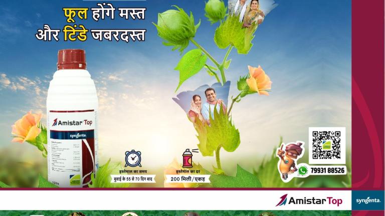 amistar cotton