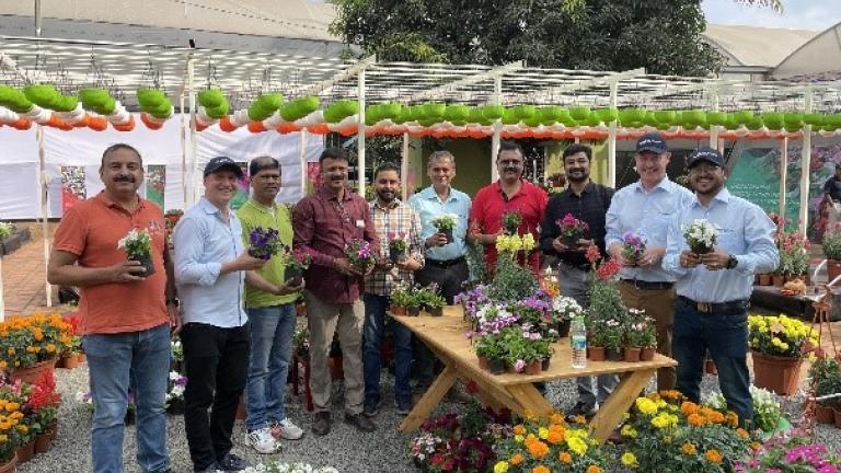 flower-show
