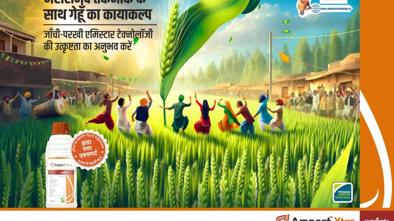 Ampect Xtra Hindi