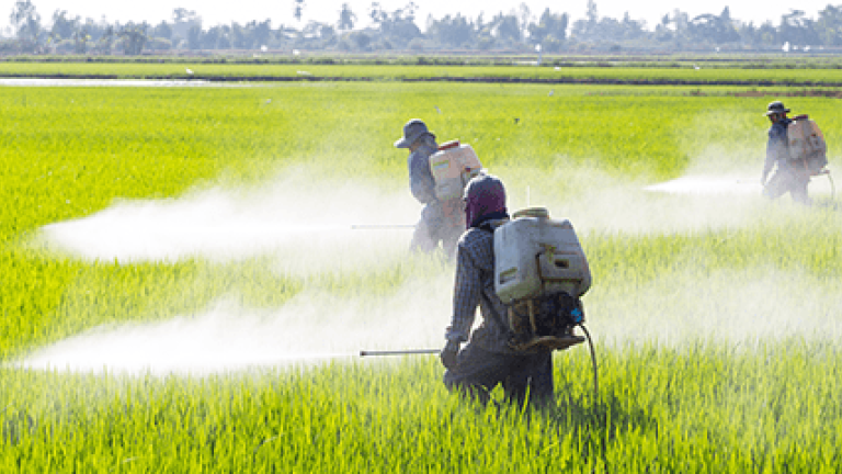 incipio: broad spectrum insect control