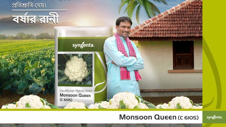 monsoon queen banner
