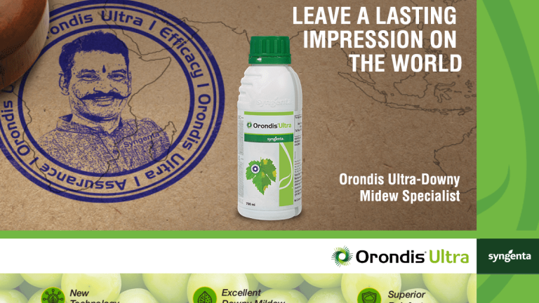 Orondis