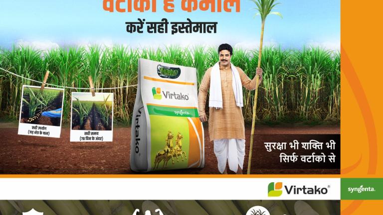 Virtako Sugarcane