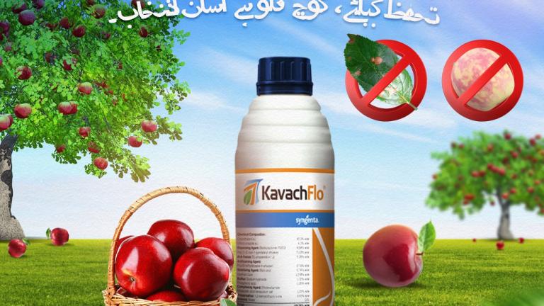 kavach flo