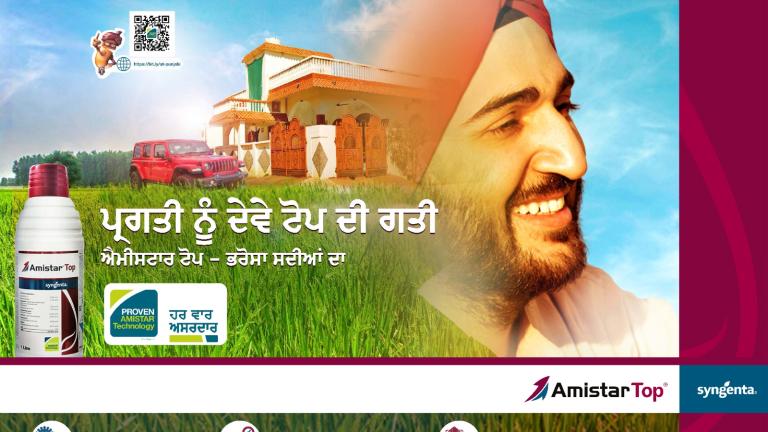 Amistar Top Rice Punjabi