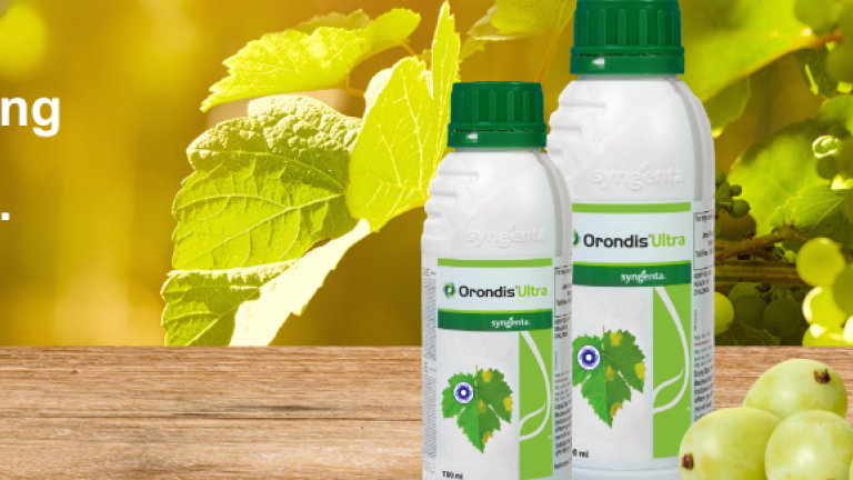 orondis 550 153