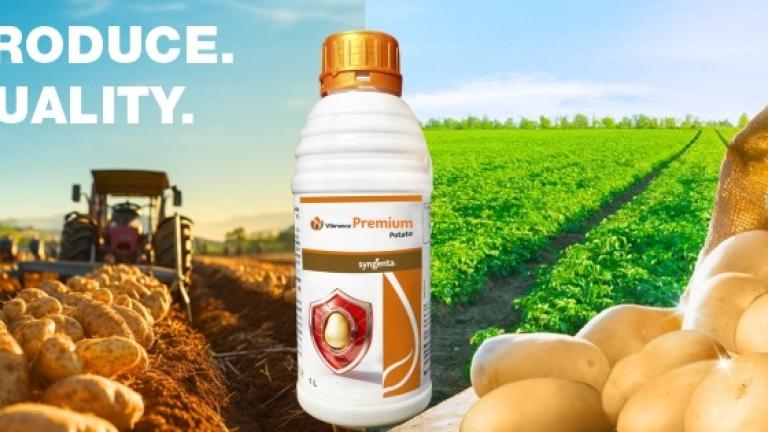Vibrance Premium
