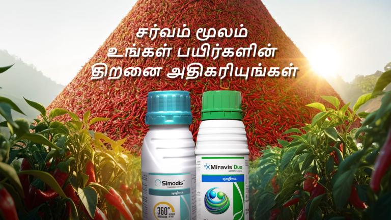 Sarvam Chilli  tamil