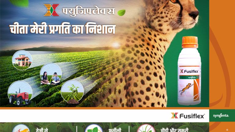 Fusiflex Hindi Banner