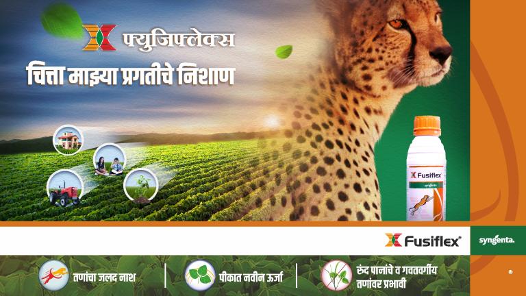 flusiflex_-_marathi