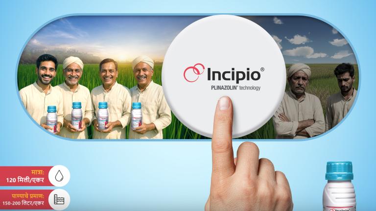 Incipio