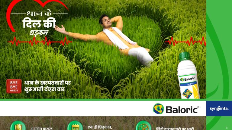 Baloric Hindi Banner