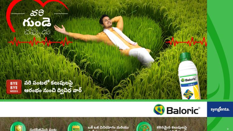 baloric telugu