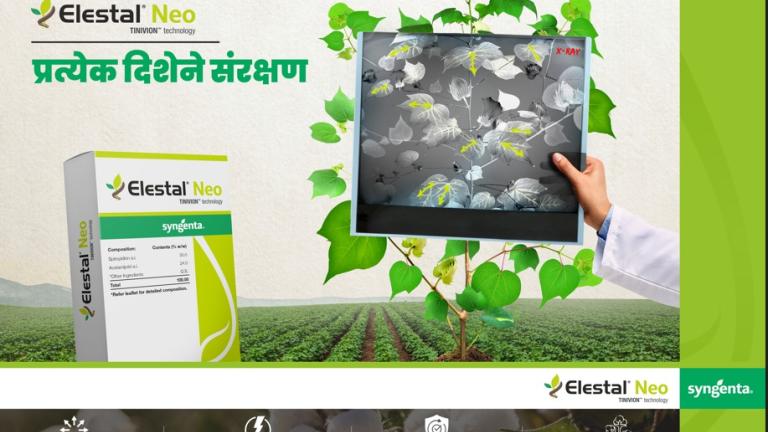 Elestal Neo Cotton
