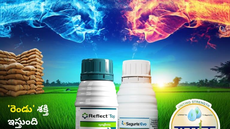 samyak prime banner