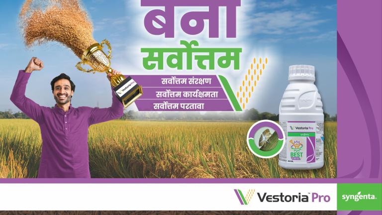vestoria pro marathi banner