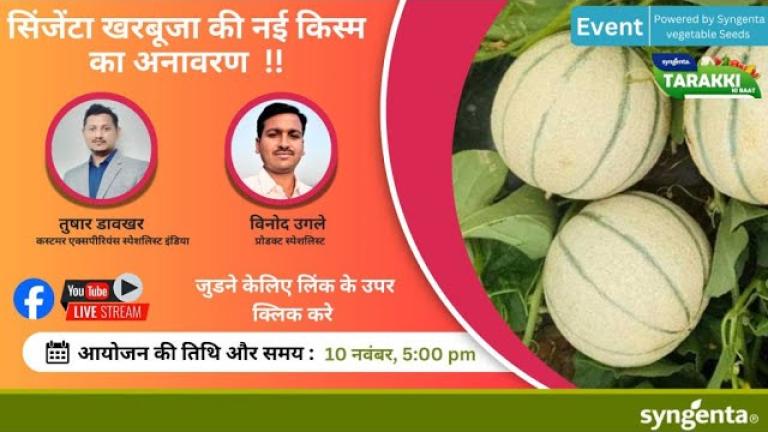 Hindi banner advertising a melon event, with sliced melon photo on the right