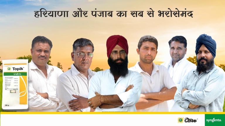 Topik Wheat Syngenta India
