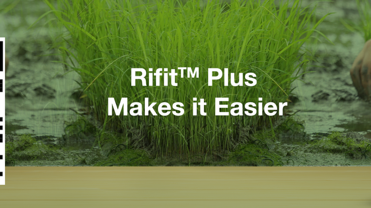 Rifit Plus | Syngenta
