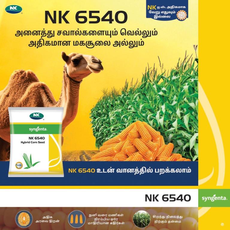 NK 6540 fodder sorghum seed ad with cow, green fodder, and seed packet on yellow background