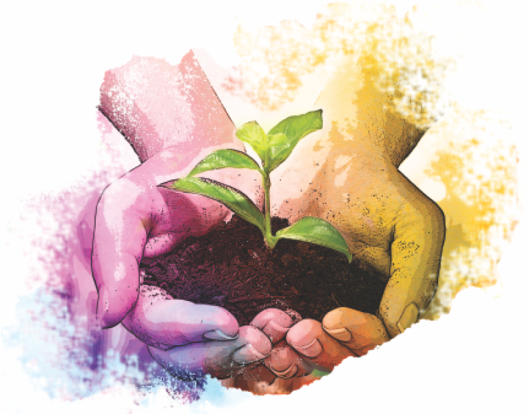 sustainability