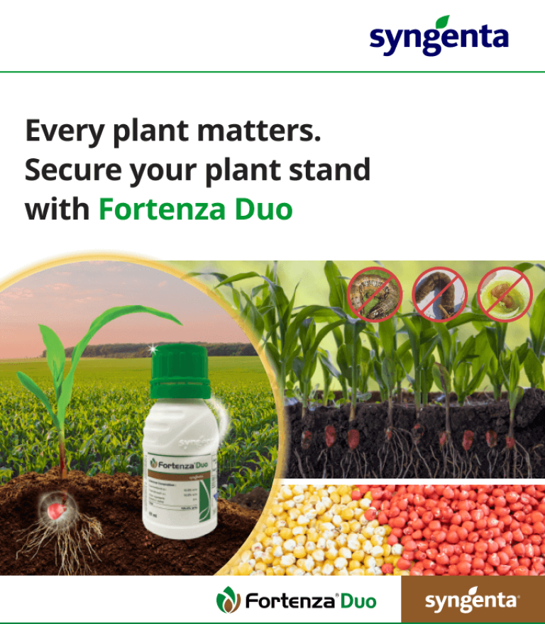 Fortenza Duo SYNGENTA