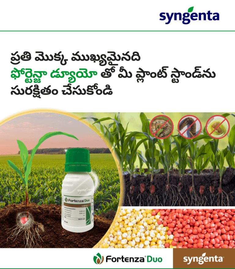 ఫోర్టెన్జా డువో  సింజెంటా
