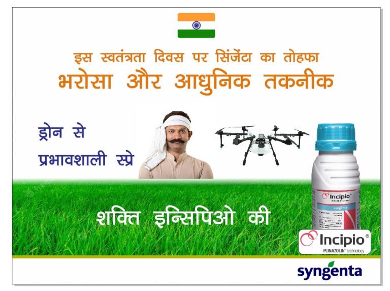 Syngenta Independence Day