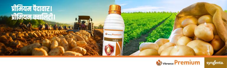 Vibrance premium web banner_Hindi