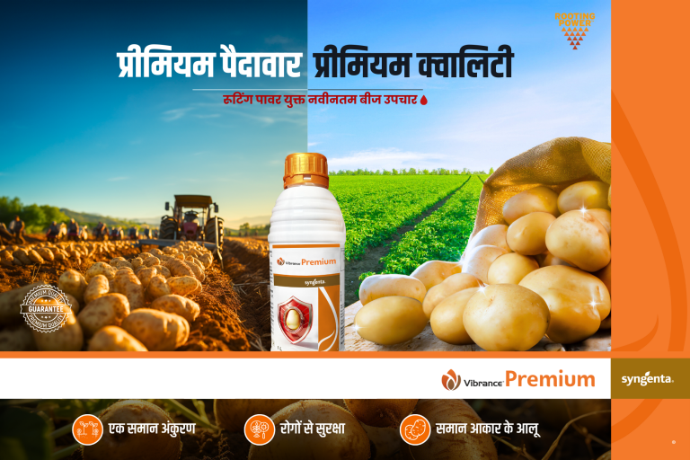 vibrance_premium_creative_hindi.png